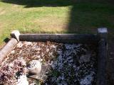 image of grave number 82418